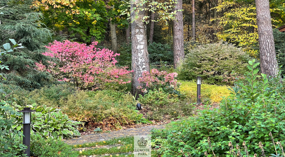 Заповедный бор