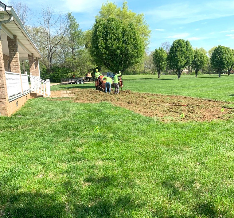 Removal of the lawn