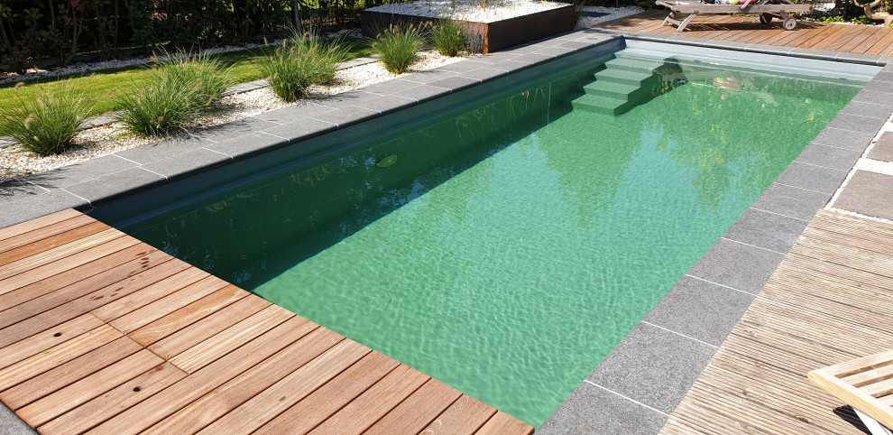 Mittelgroßer Moderner Pool in Frankfurt am Main