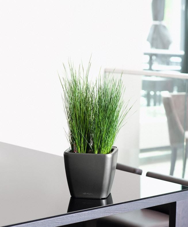 Классика дизайна