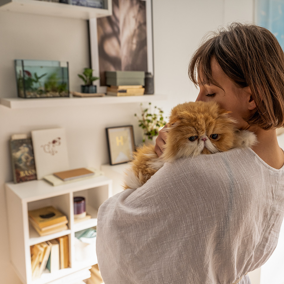 Young Users ИНДИВИДУАЛЬНОСТЬ, КРЕАТИВНОСТЬ, ИННОВАЦИИ