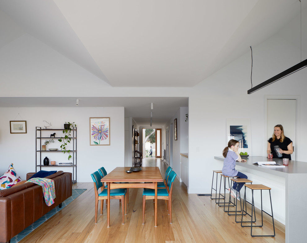 Large contemporary open plan dining in Melbourne with white walls, light hardwood floors, no fireplace and brown floor.