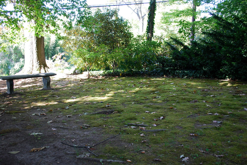 Design ideas for a traditional landscaping in Charlotte.