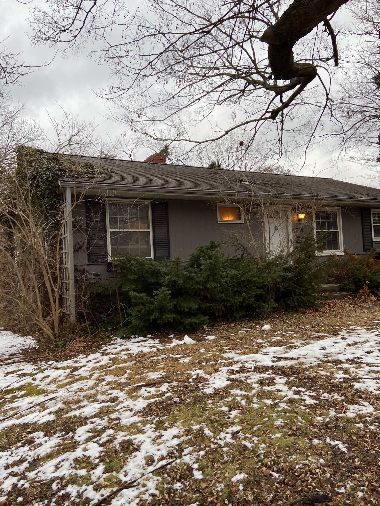 7721 Briar Drive : Prairie Ridge Renovation