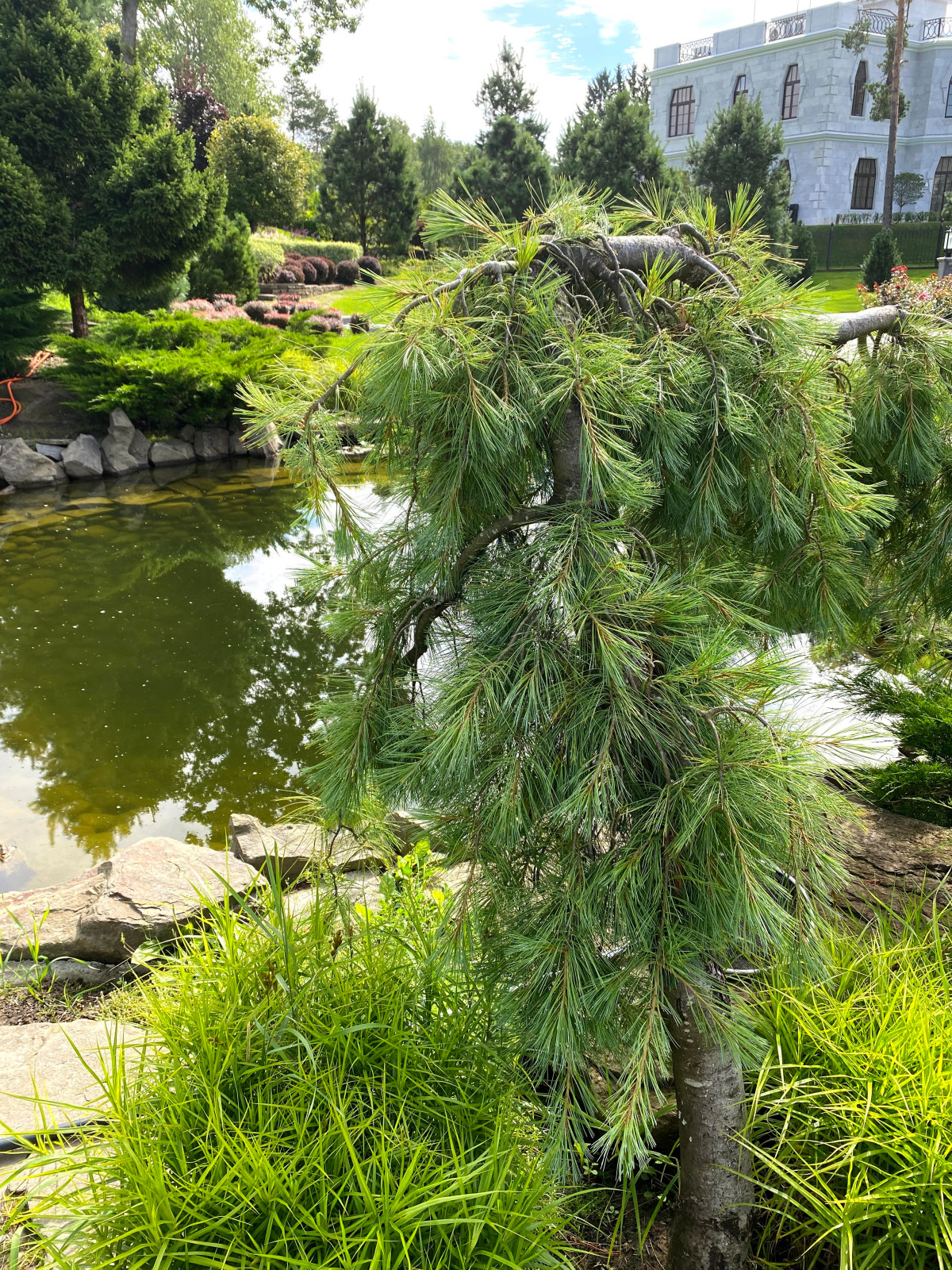 Курортный район Лен. область