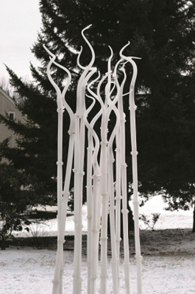 Design ideas for a contemporary landscaping in DC Metro.