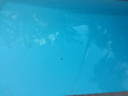 Patch A Pool With Plaster