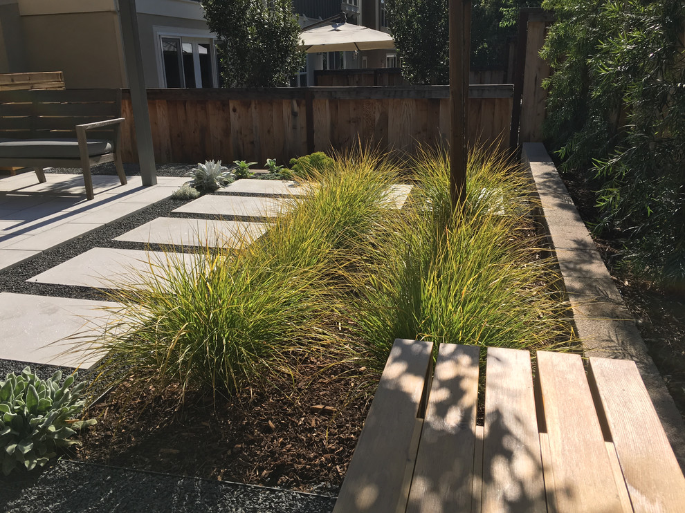 Photo of a small modern backyard full sun formal garden in San Francisco with a garden path and concrete pavers.