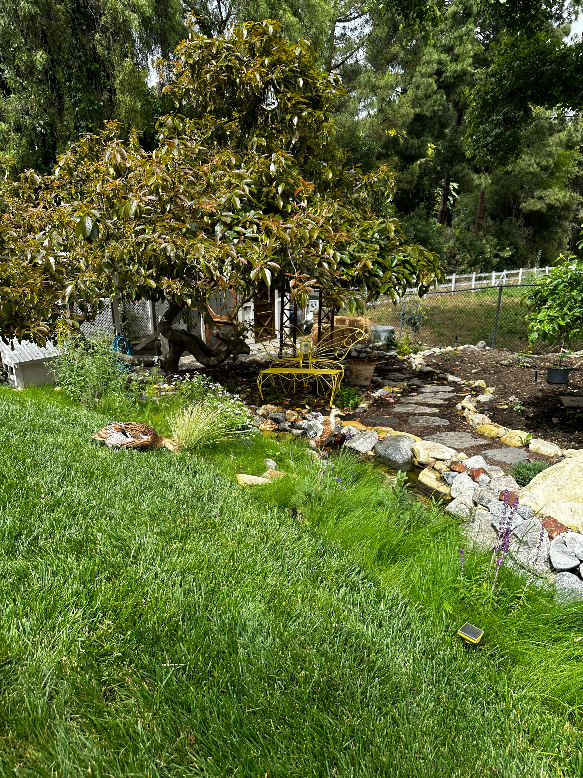Childhood Oasis