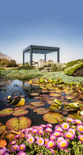 Solarlux Glashaus modern-deck