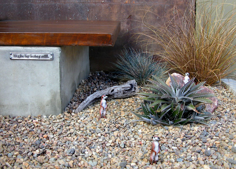 Inspiration for a small contemporary courtyard full sun xeriscape in Los Angeles.