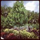 Pro Gardens and Friends Landscaping Inc.