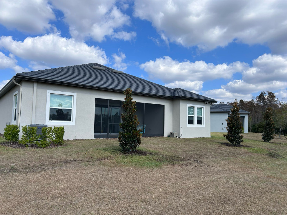 Rooted in Sustainability: Tree Planting with Arborist Partner