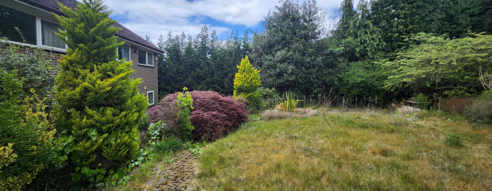 Woodpecker close Cobham