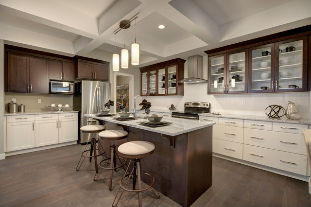 Apparition Model transitional-kitchen