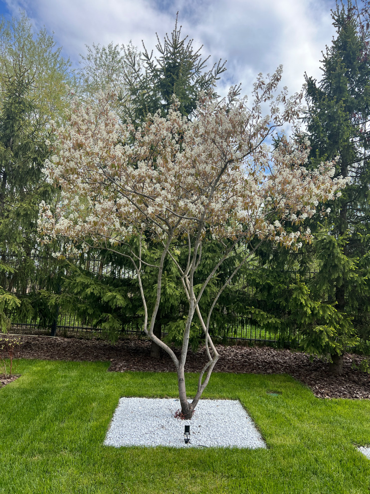 Сад в квадрате