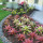 MO LANDSCAPING &PAVERS&CONSTRUCTION