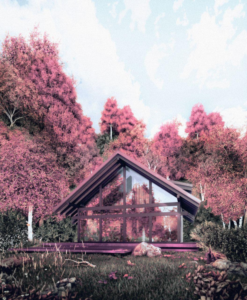 Экстерьерная и интерьерная визуализация