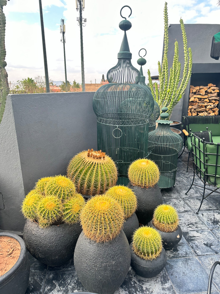 Moroccan Shopping Excursions