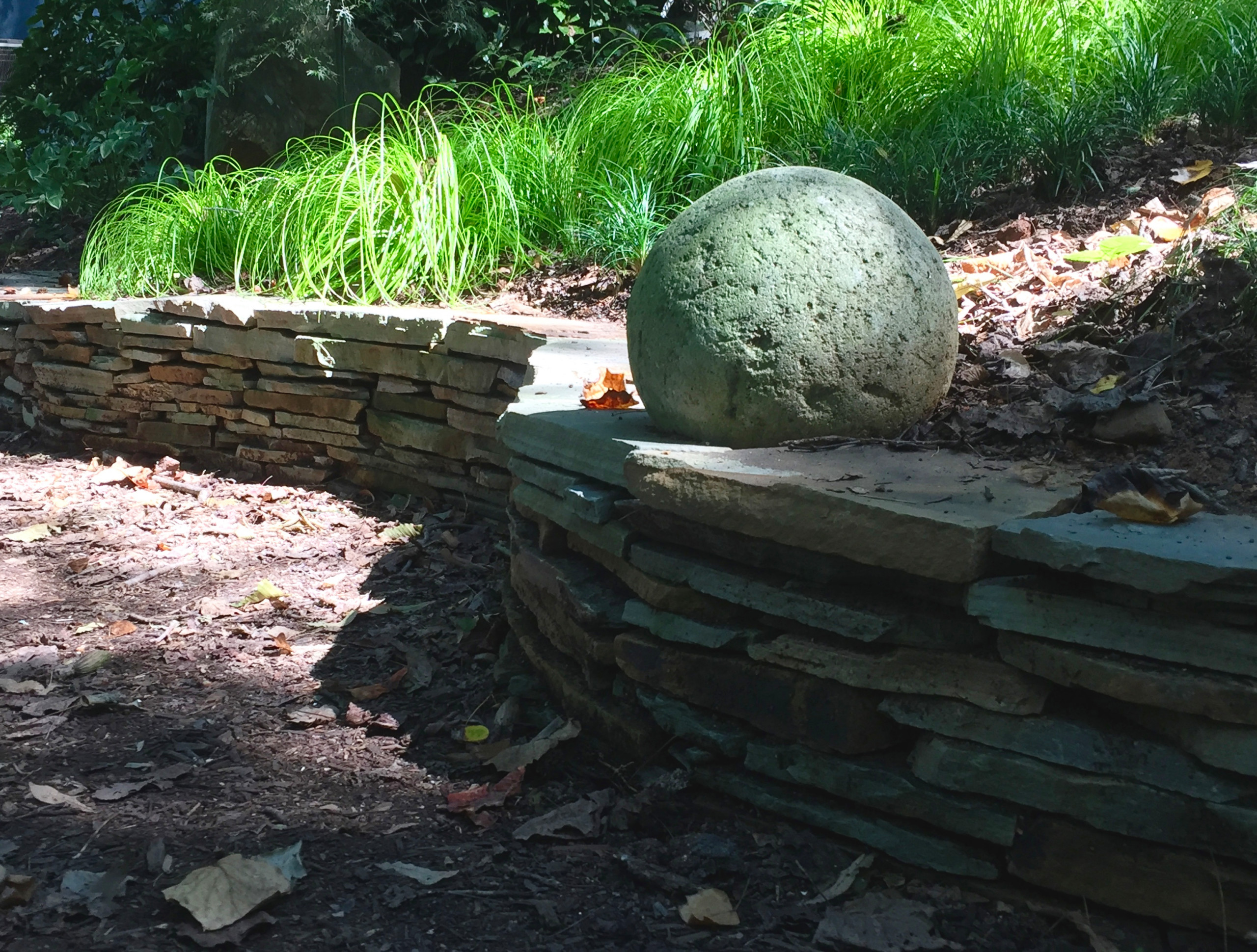 Morning light in the sculpture garden