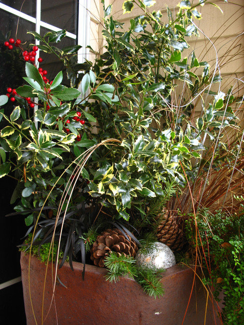 Holiday Container Gardens