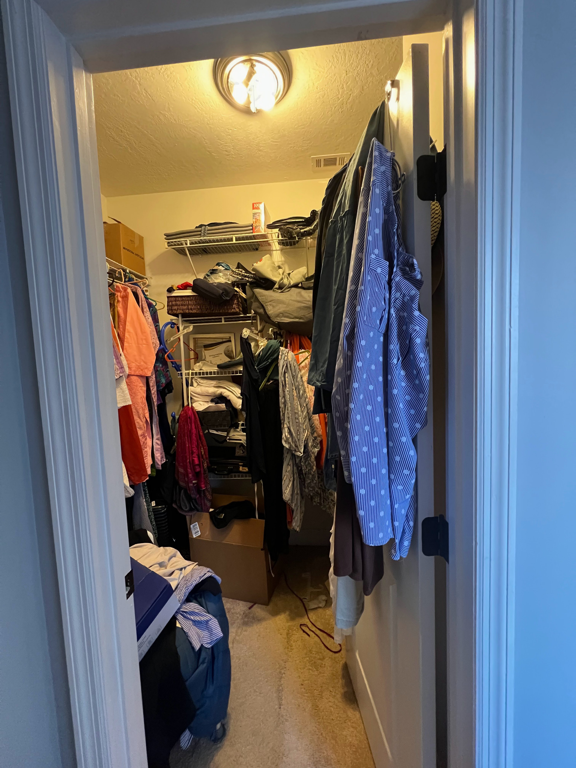The Jewel Tone-Custom Closet Transformation