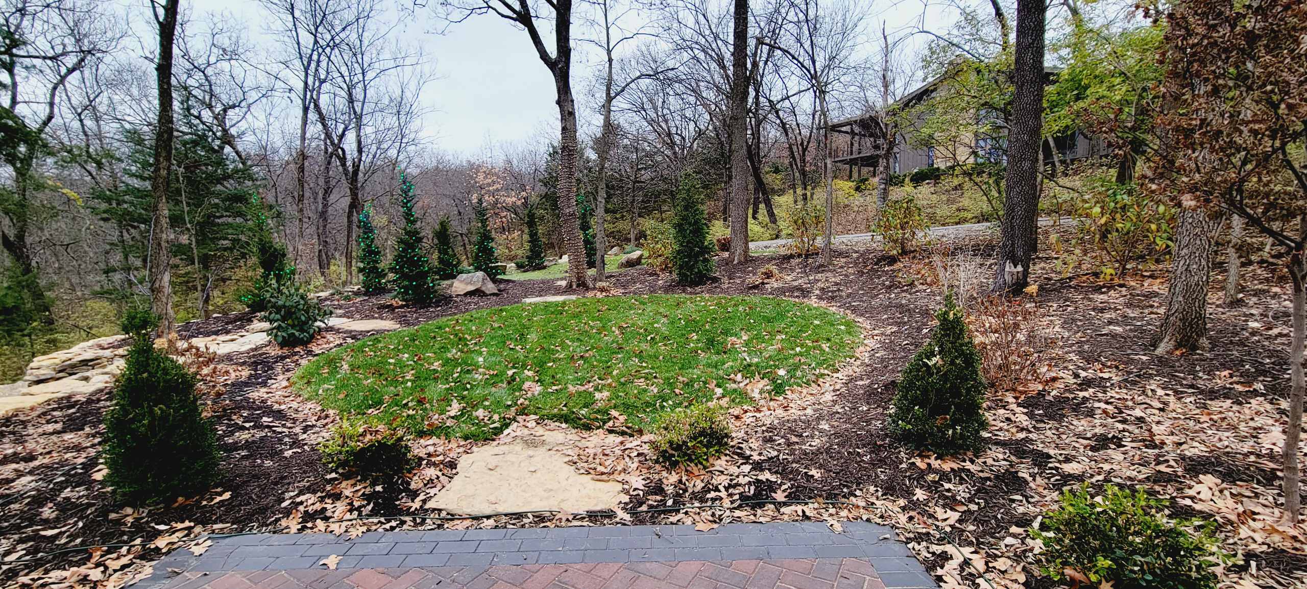 Woodland Renovation