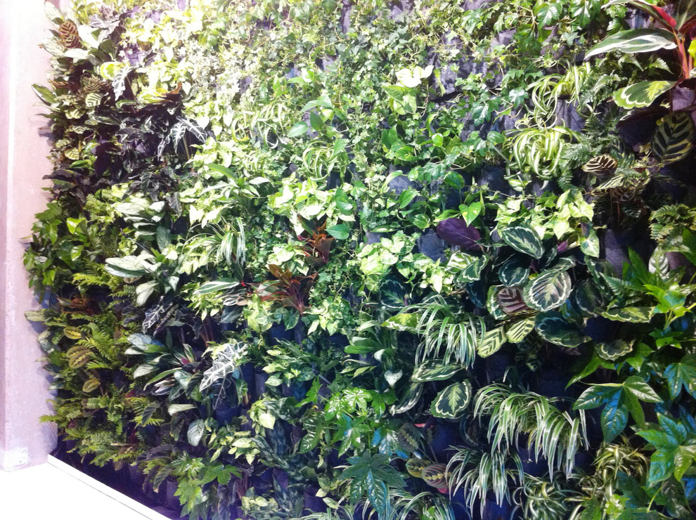 Нью-Йорк на Васильевском острове