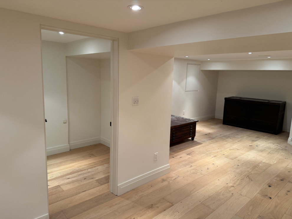 Bright and Inviting Basement