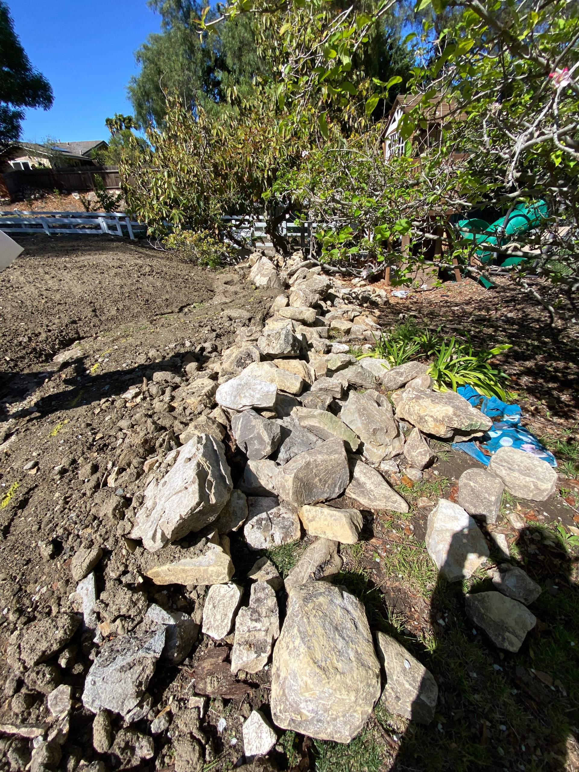 Kid-Friendly Food Forest