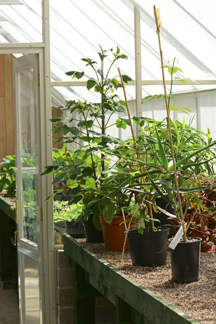 Greenhouse Interiors