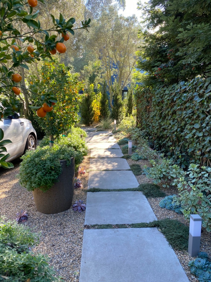 Ejemplo de camino de jardín de secano retro grande en patio delantero con exposición total al sol, adoquines de hormigón y con metal