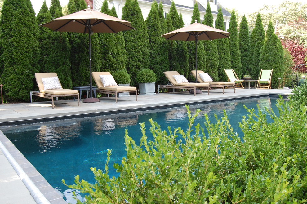 Design ideas for a mid-sized traditional backyard rectangular lap pool in New York.