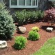Grove Landscaping Inc.