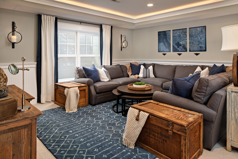 Example of a transitional basement design in DC Metro