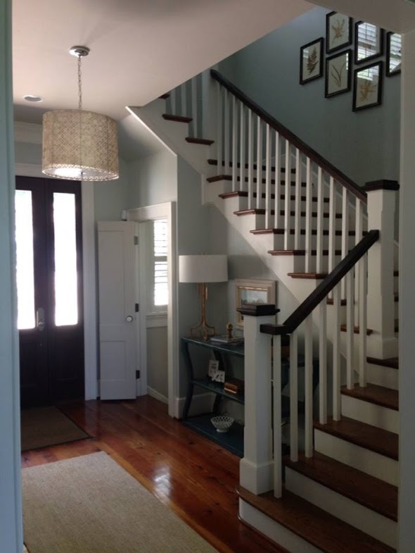 Mid-sized trendy medium tone wood floor and brown floor foyer photo with blue walls and a dark wood front door