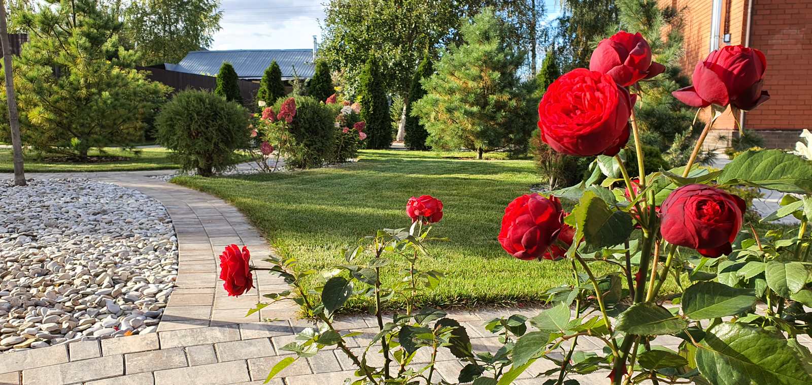 Участок в Софрино