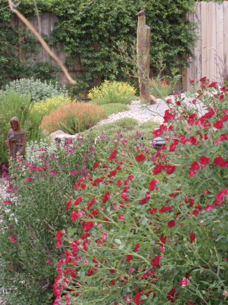 Contemporary garden in Albuquerque.
