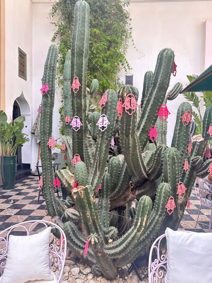 Moroccan Shopping Excursions