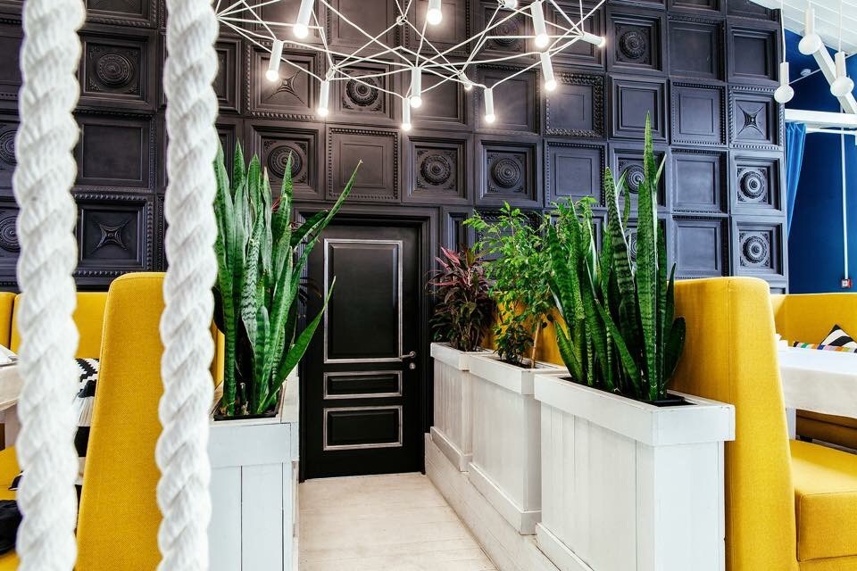 natural windows and doors