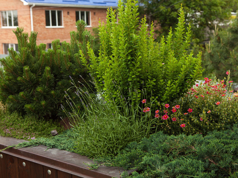 Частное домовладение с контейнерным озеленением крыши.