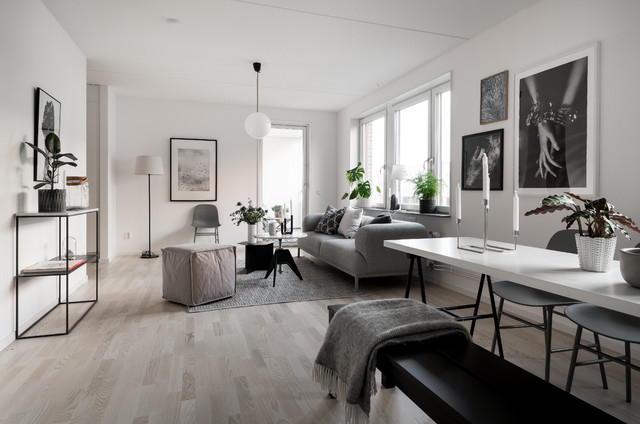 Kvarnholmen scandinavian-living-room