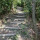 webuser_709520459