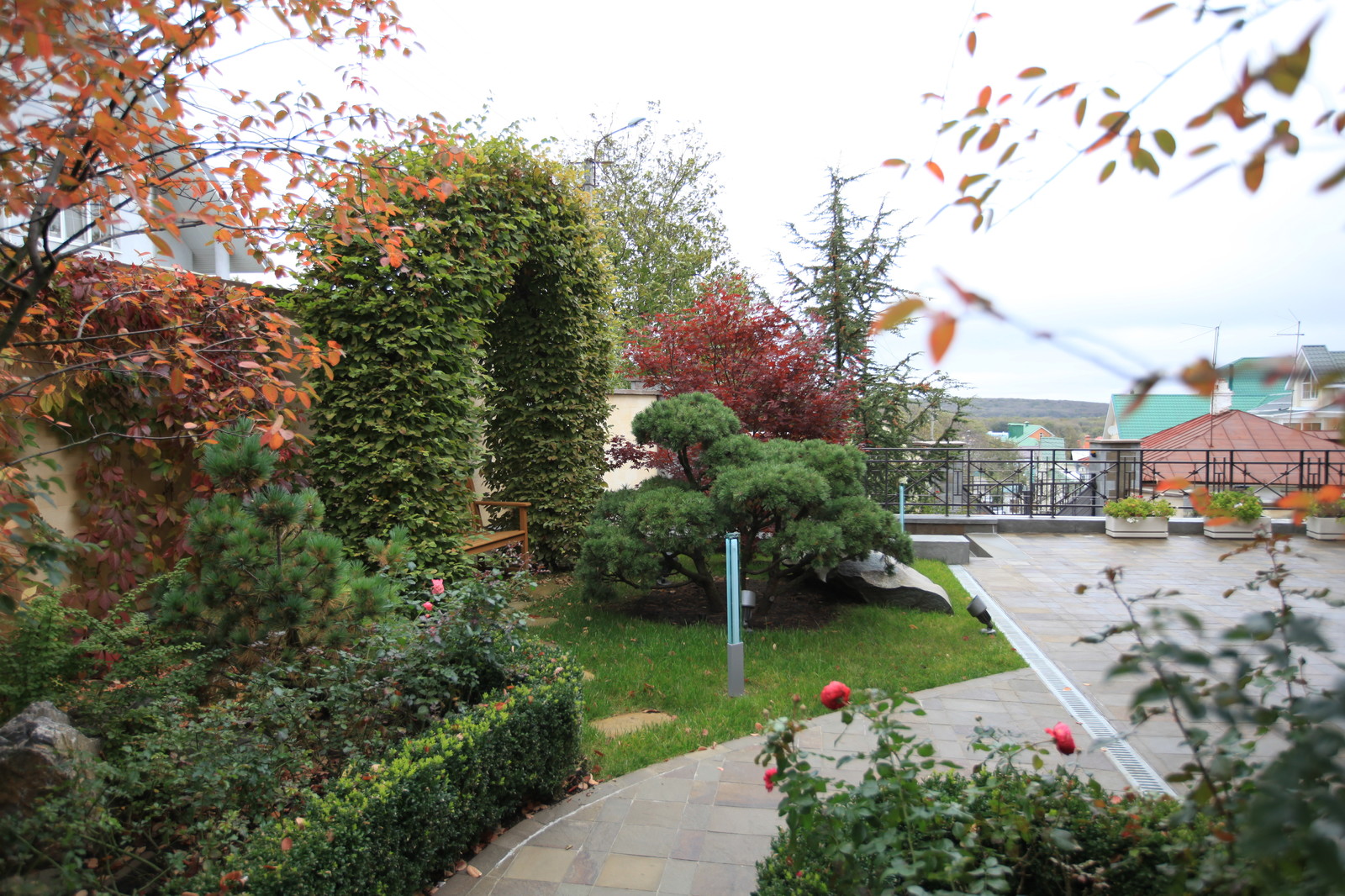 Итальянский сад с пиньями в городе