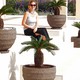 The Garden Company - Mallorca