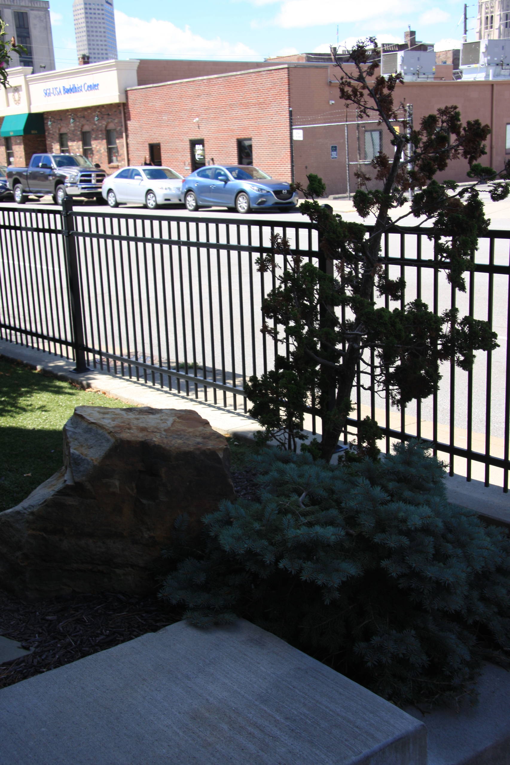 Wittern Roof top Garden