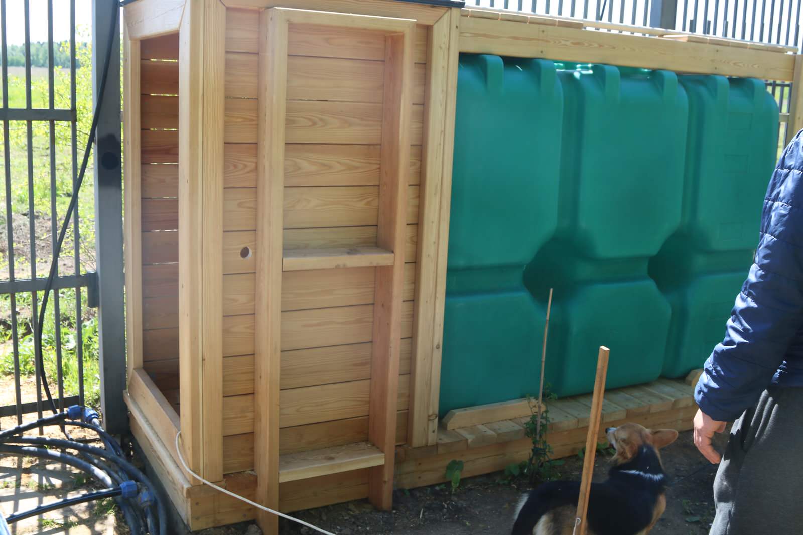 Бельгийка 02