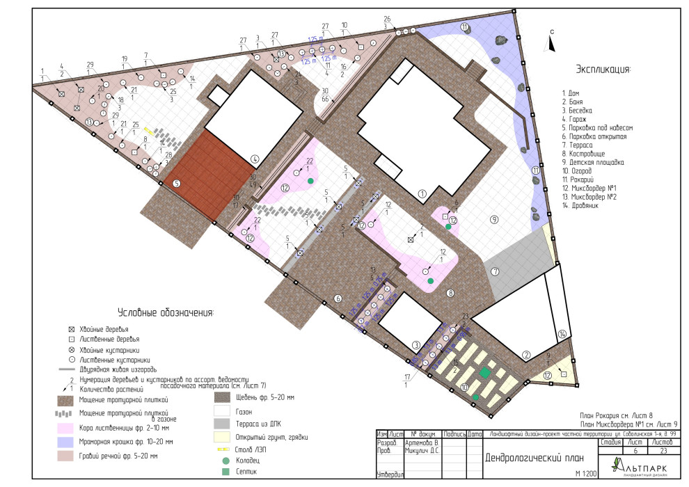 Дендрологический план