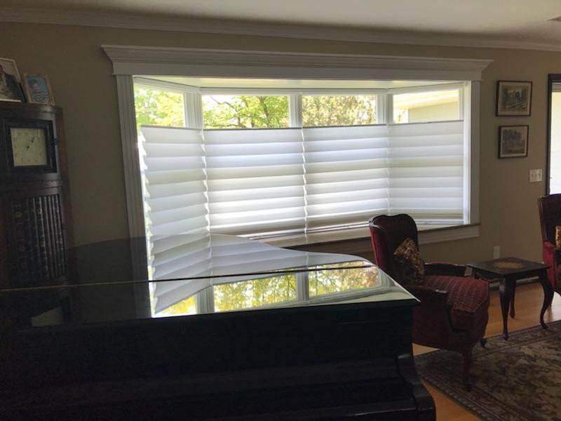 Alustra Vignette Modern Roman Shade