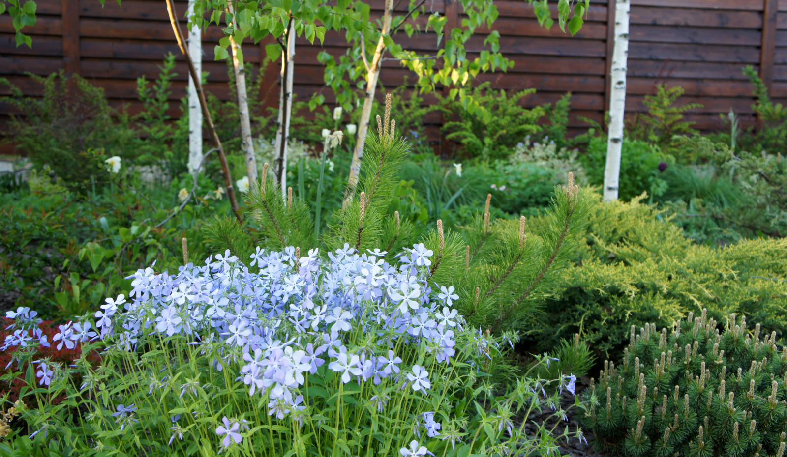 участок в Прохорово